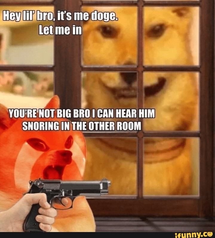 He can hear. ИТС бро. Lil bro meme Doge. Bro its Canon event meme.