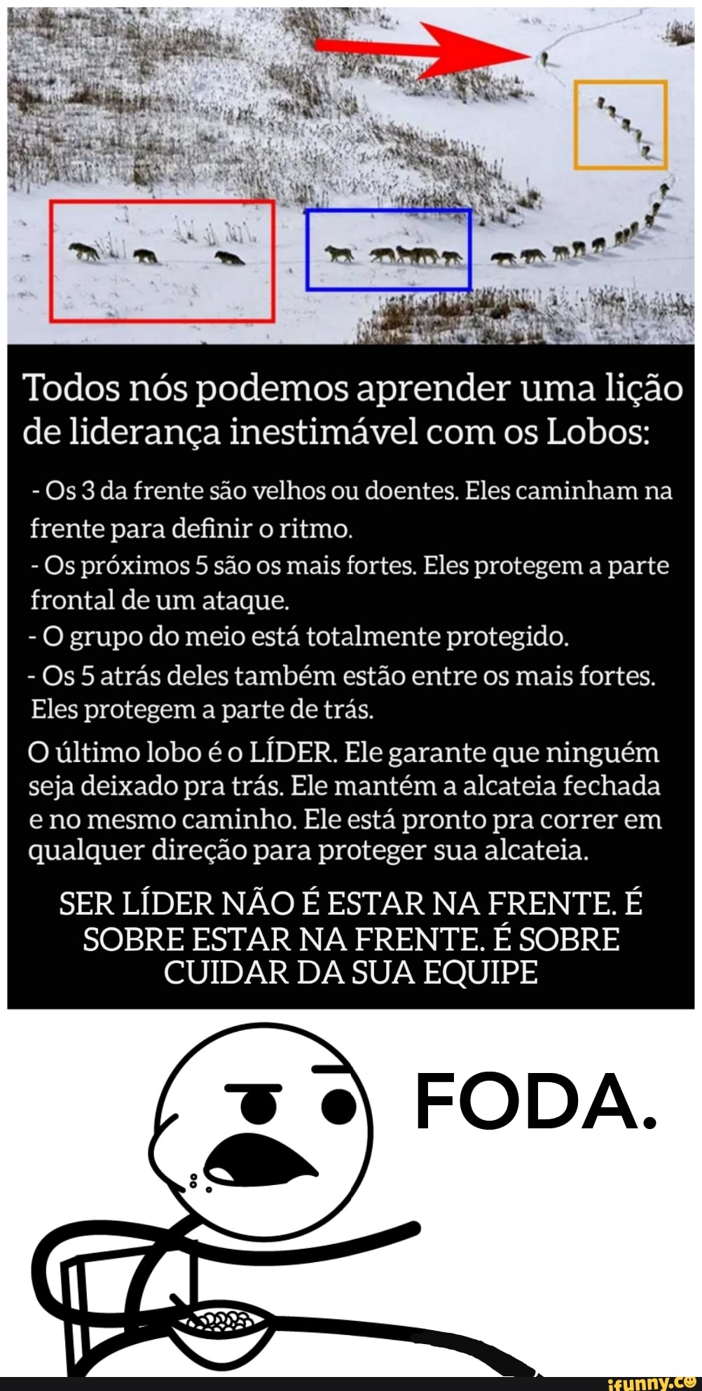 Todos nós podemos aprender uma lição de liderança inestimável com os Lobos:
- Os 3 da frente são velhos ou doentes. Eles caminham na frente para definir o ritmo.
- Os próximos 5 são os mais fortes. Eles protegem a parte frontal de um ataque.
- O grupo do meio está totalmente protegido.
- Os 5 atrás deles também estão entre os mais fortes.
Eles protegem a parte detrás.
O último lobo é o LÍDER. Ele garante que ninguém seja deixado pra trás. Ele mantém a alcateia fechada
e no mesmo caminho. Ele está pronto pra correr em qualquer direção para proteger sua alcateia.
SER LÍDER NÃO É ESTAR NA FRENTE. É SOBRE ESTAR NA FRENTE. É SOBRE CUIDAR DA SUA EQUIPE