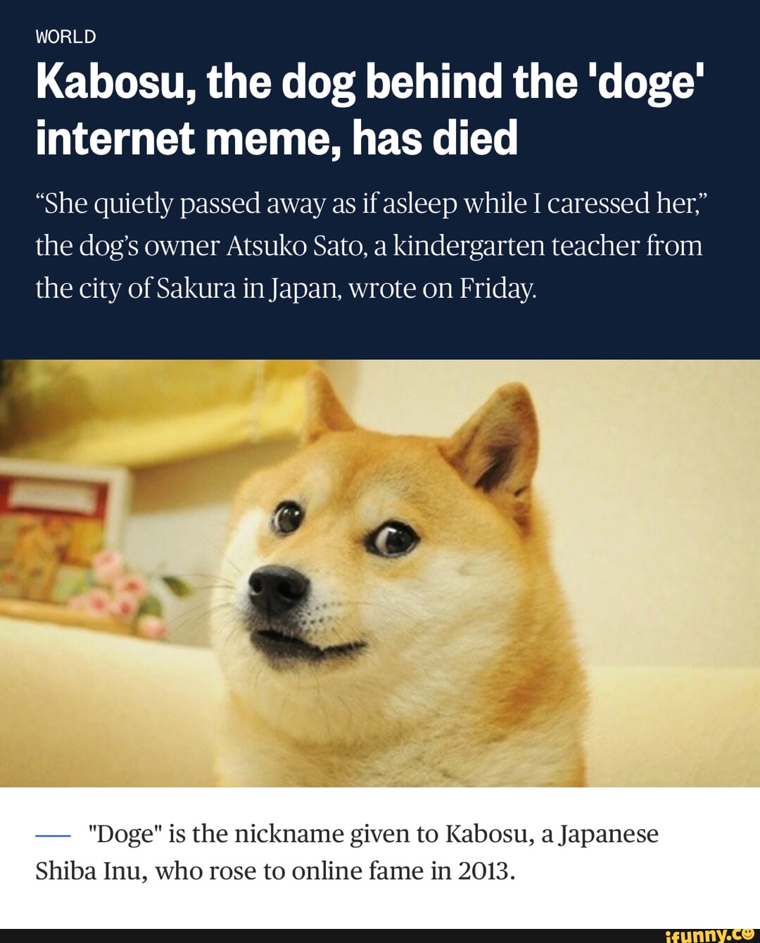 WORLD Kabosu, the dog behind the 'doge' internet meme, has died 