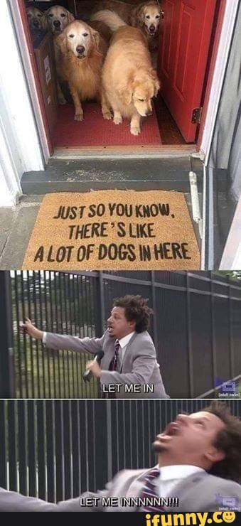JUST SO YOUKNON,
THERE? S LIKE
ALOT OF DOGS WHERE
