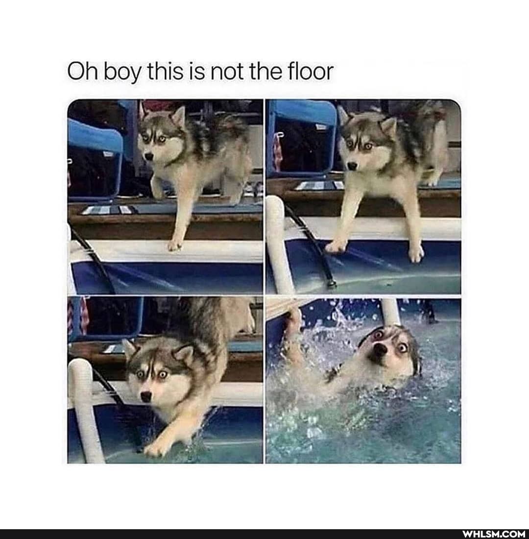 Oh boy this is not the floor