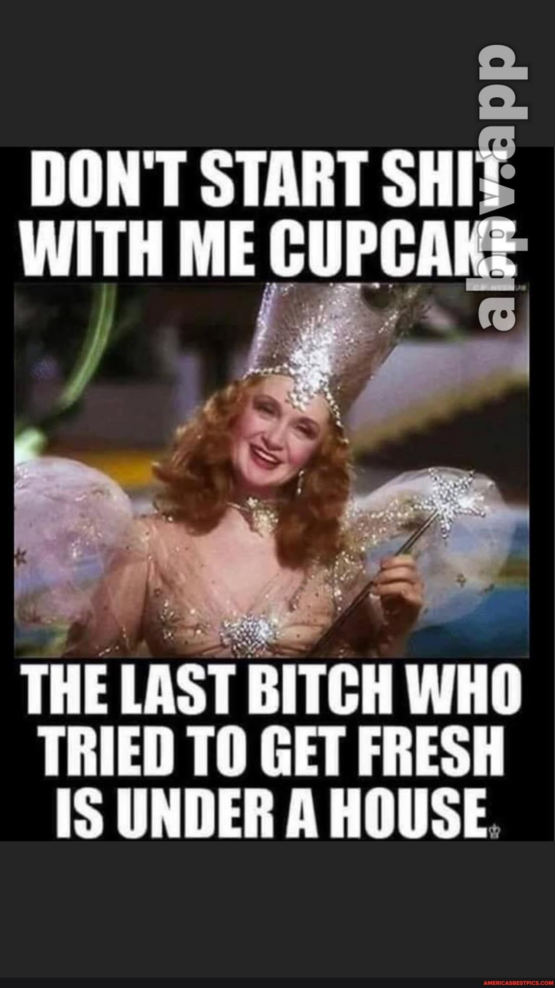 DON'T START SHIE WITH ME CUPCAKE
THE LAST BITCH WHO TRIED TO GET FRESH IS UNDER A HOUSE.