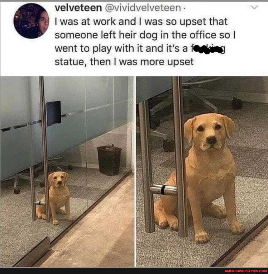 velveteen @vividvelveteen -
I was at work and I was so upset that someone left heir dog in the office so I went to play with it and it's a statue, then I was more upset