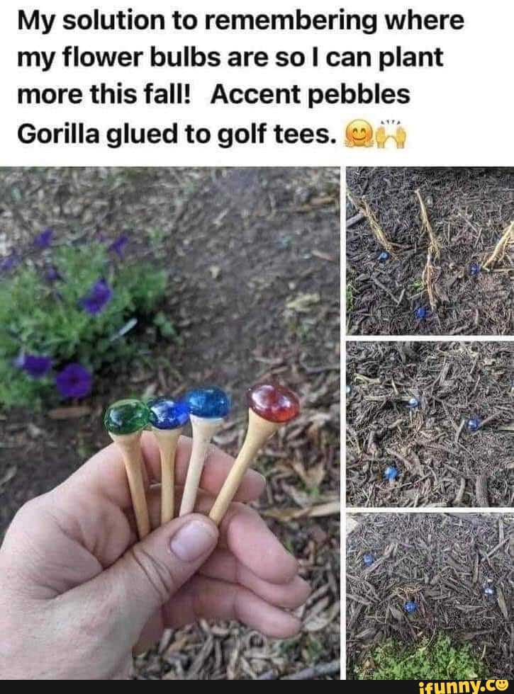 Dollarama/Dollar Tree/Dollar General should have both of those. My