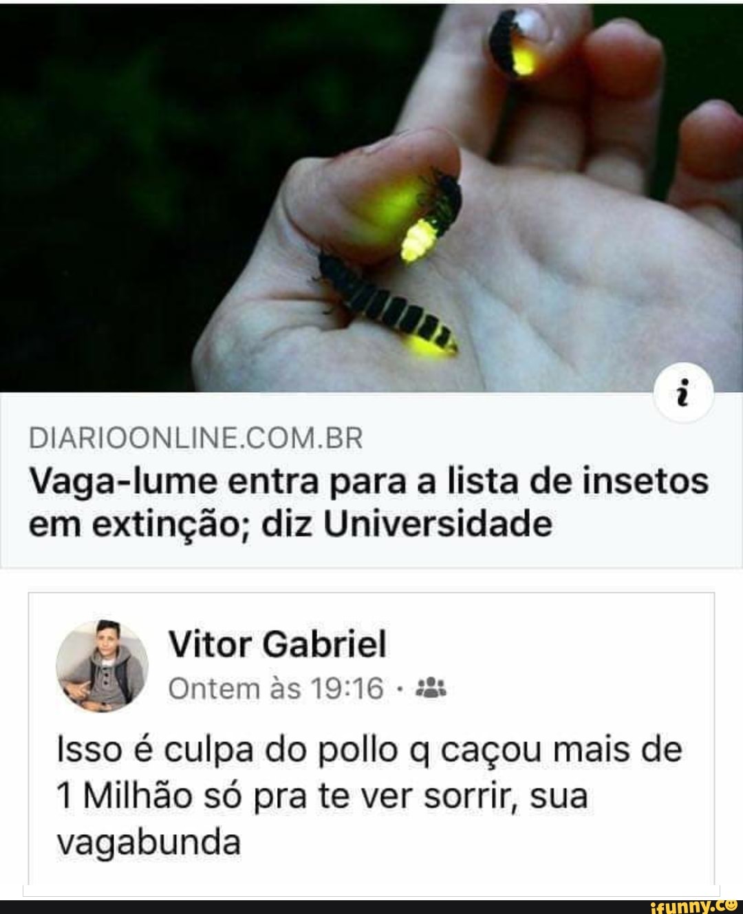 BR
Vaga-lume entra para a lista de insetos em extinção; diz Universidade
Vitor Gabriel
Ontem as -
Isso é culpa do pollo q caçou mais de
1 Milhão só pra te ver sorrir, sua vagabunda