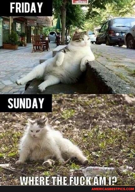 FRIDAY
SUNDAY
WHERE THE FILK BM