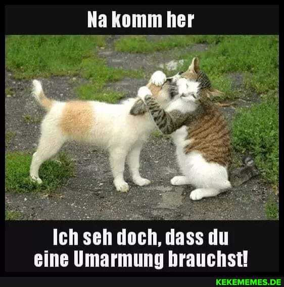 Na komm her
Ich seh doch, dass du eine Umarmuna hrauchst!