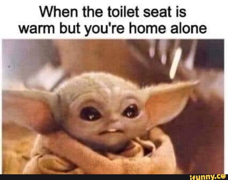 When the toilet seat is warm but you're home alone iFunny