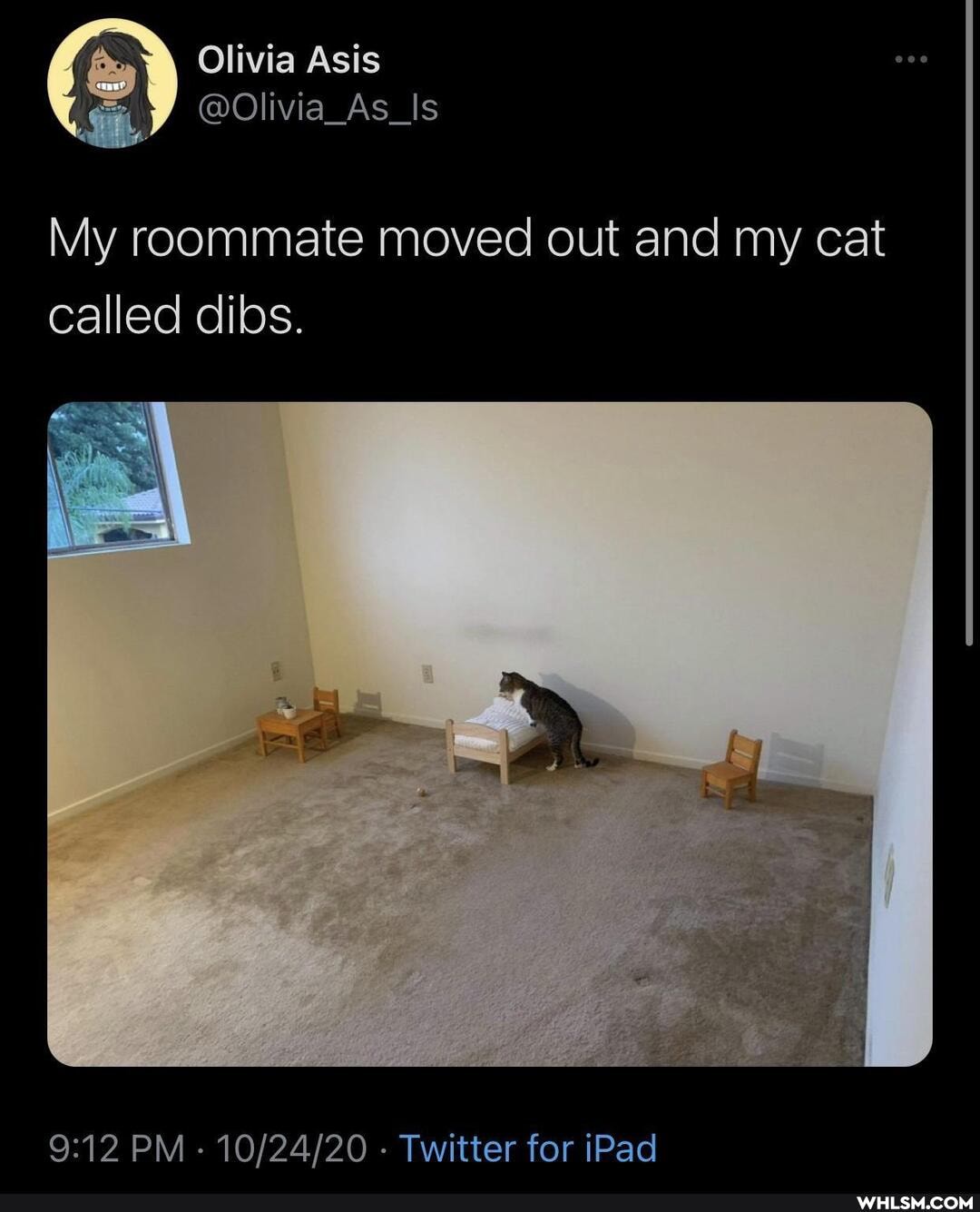 Olivia Asis
@Olivia_As_ls
My roommate moved out and my cat called dibs.
PM - - Twitter for iPad