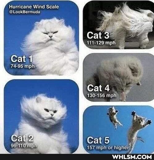 Hurricane Wind Scale
@LookBermuda
Cai
Cat 4
130-156 mph