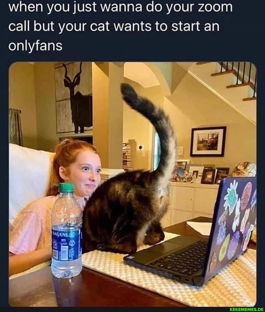 when you just wanna do your zoom call but your cat wants to start an onlyfans