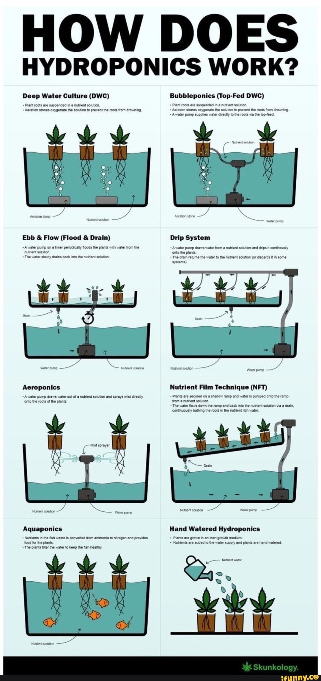 HOW DOES HYDROPONICS WORK? Deep Water Culture (DWC) + Plant roots are ...