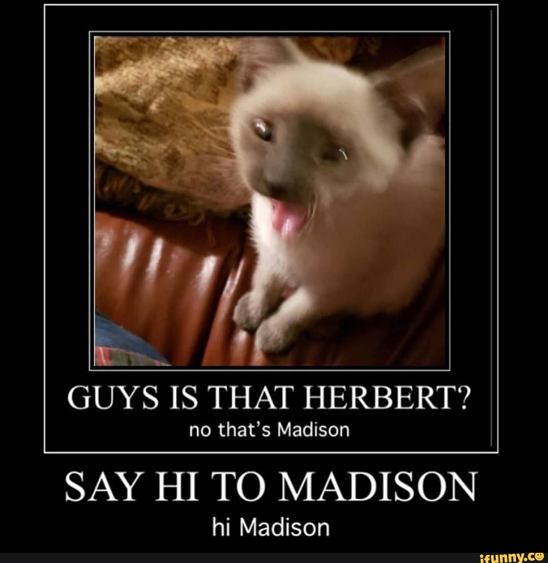 ~ if
GUYS IS THAT HERBERT?
no that's Madison
SAY HI TO MADISON
hi Madison