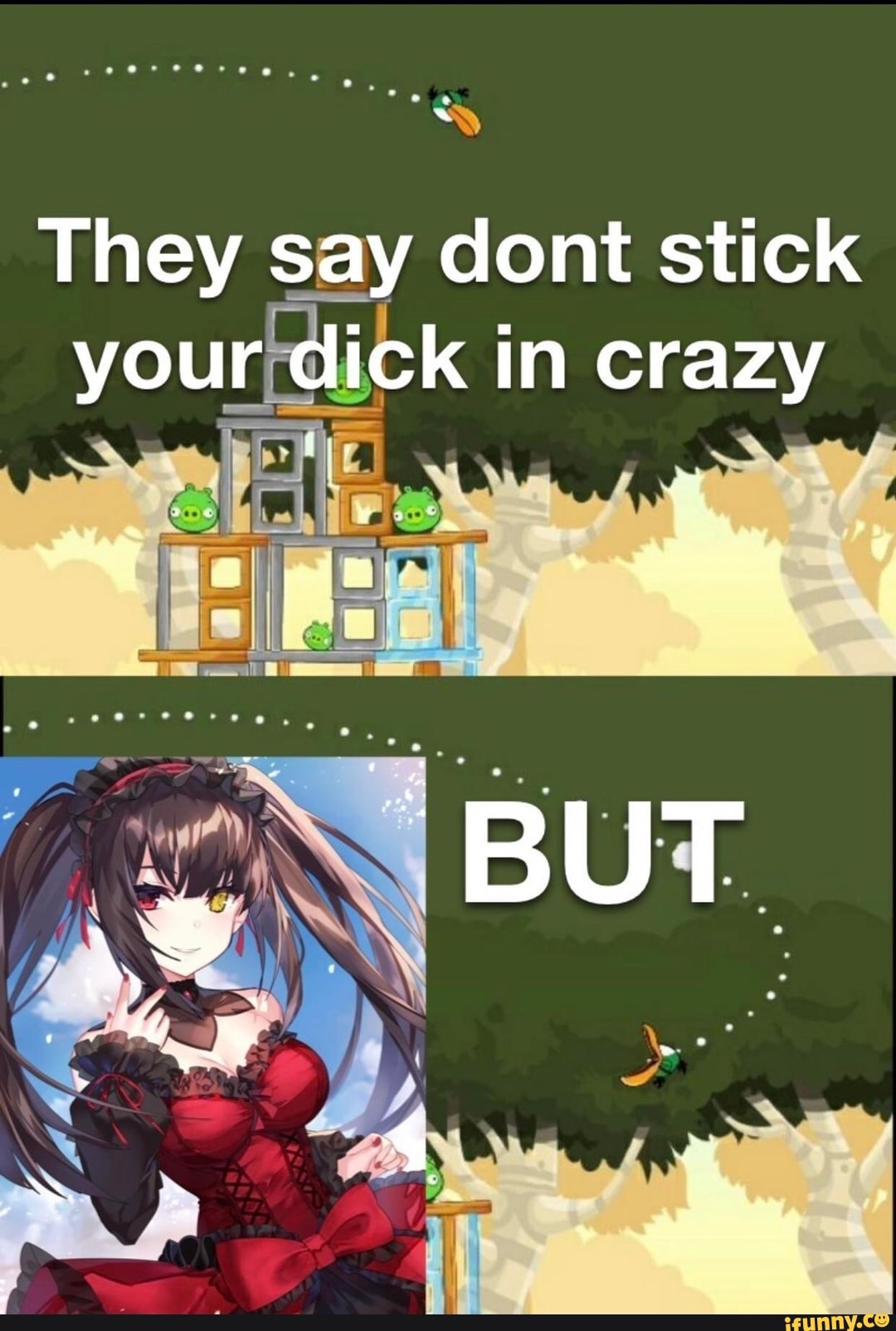 Sticking Your Dick In Crazy