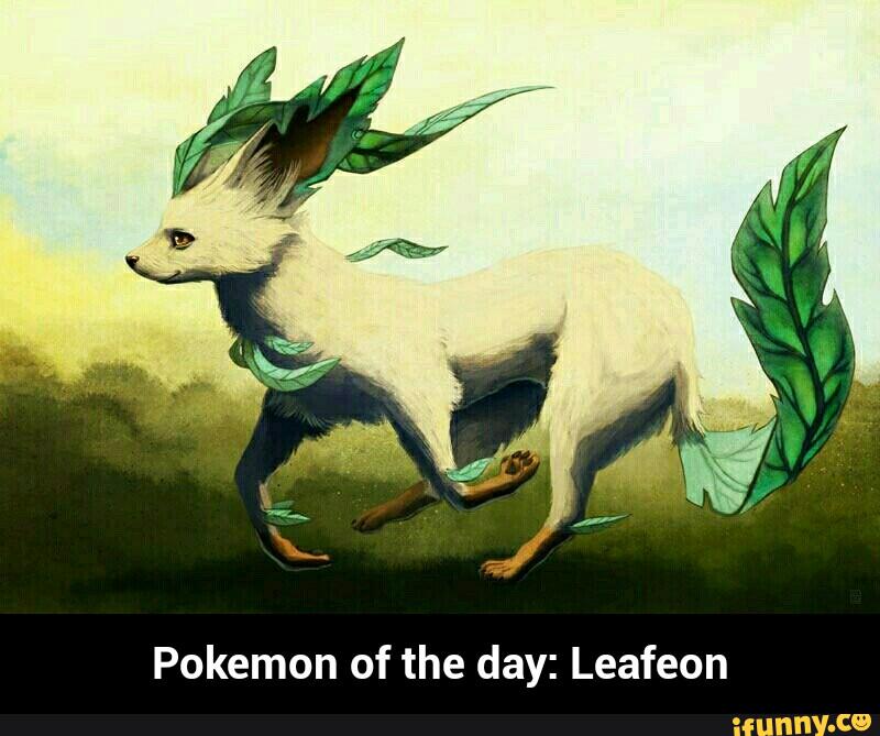Pokemon of the day Leafeon Pokemon of the day Leafeon )