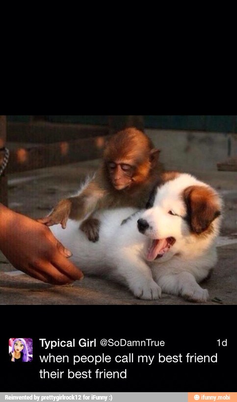 2 Typical Girl @SoDamnTrue dd
when people call my best friend
their best friend