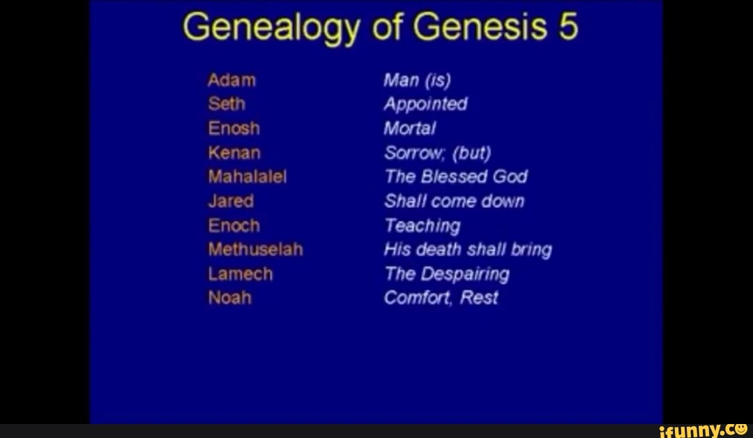 Genealogy of Genesis 5 Adam Seth Enosh Kenan Mahalalel Jared Enoch