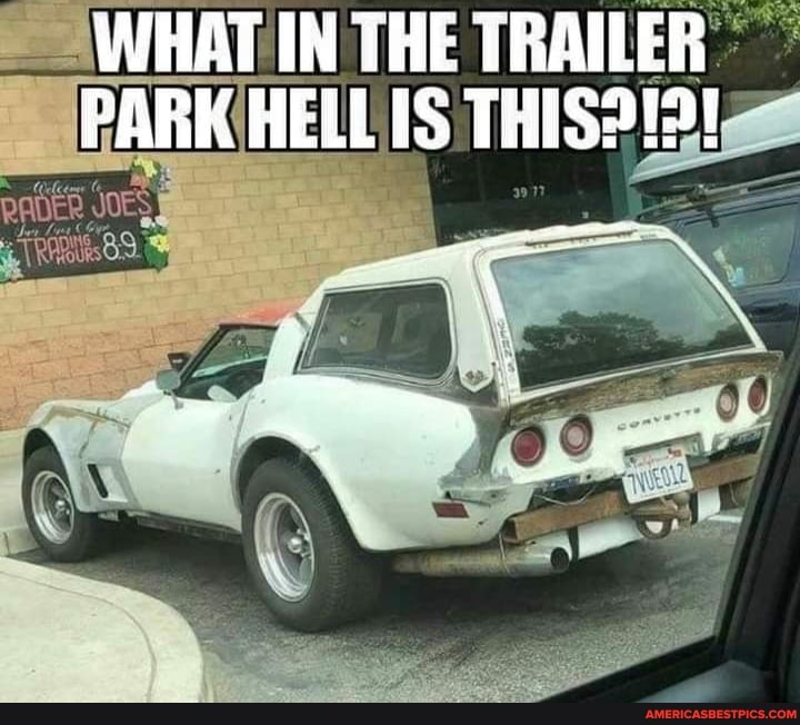 WHAT IN THE TRAILER PARK HELLIS