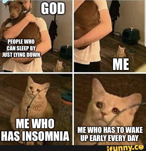 insomnia cat meme