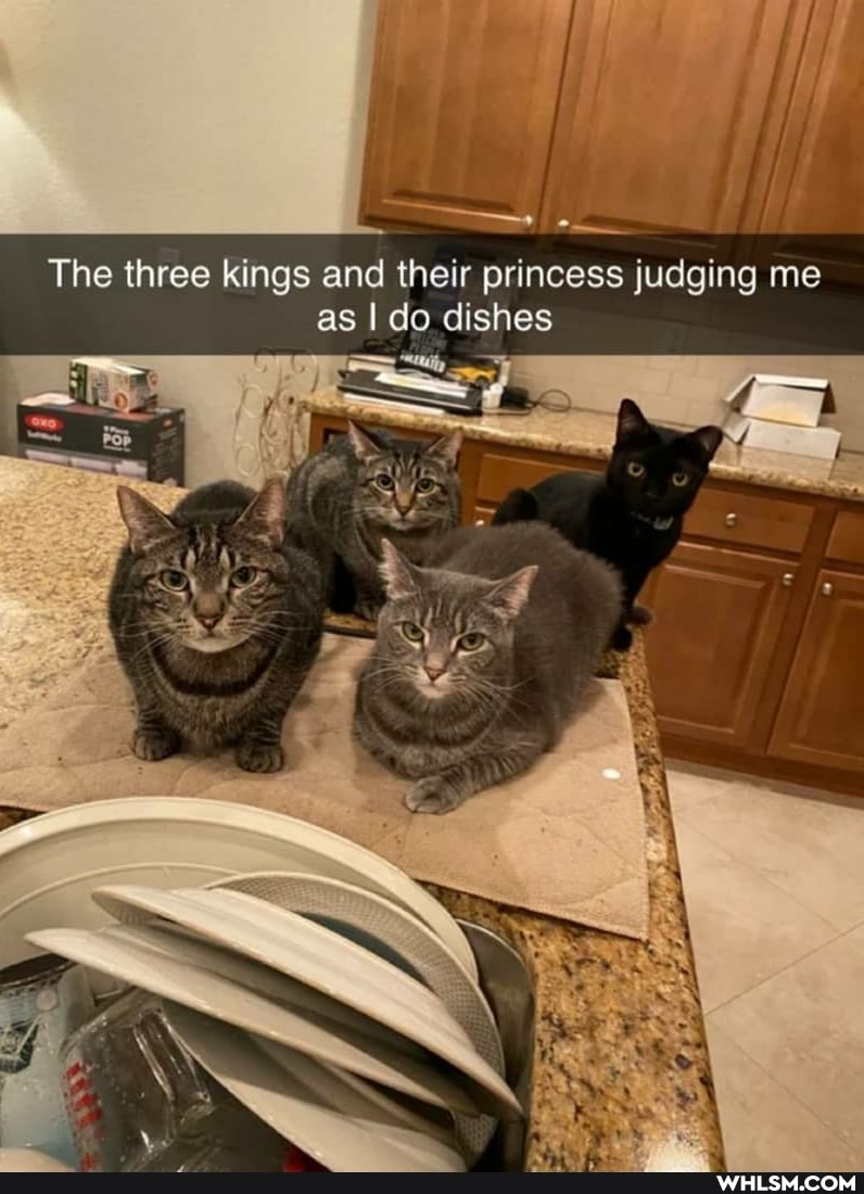 The three kings and their princess judging me as I do dishes