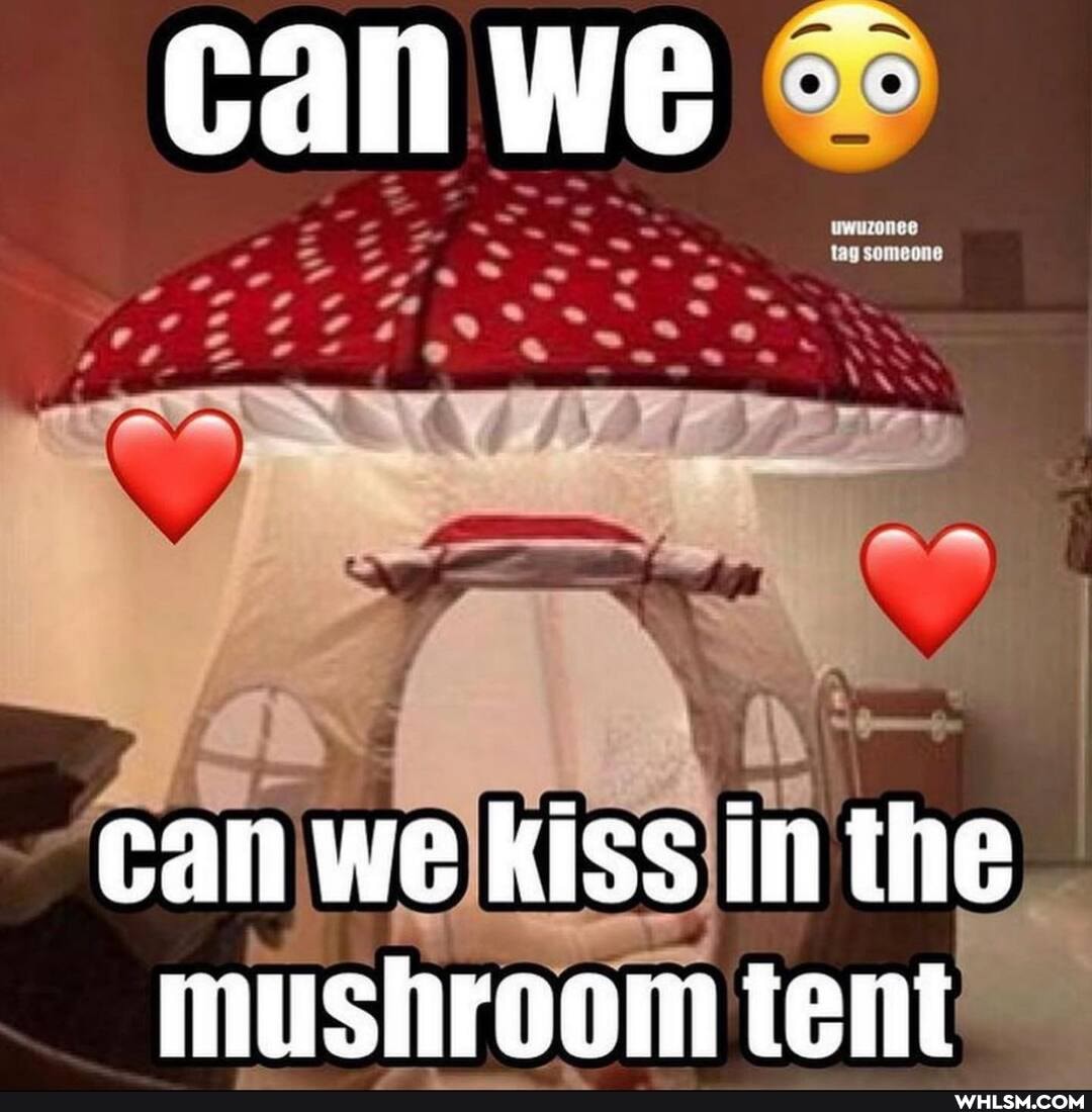 Can We
someone
can we kiss in the mushroom tent