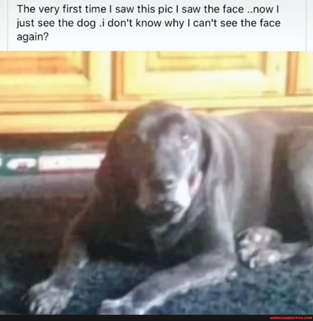 The very first time I saw this pic I saw the face ..now I just see the dog .i don't know why I can't see the face again?