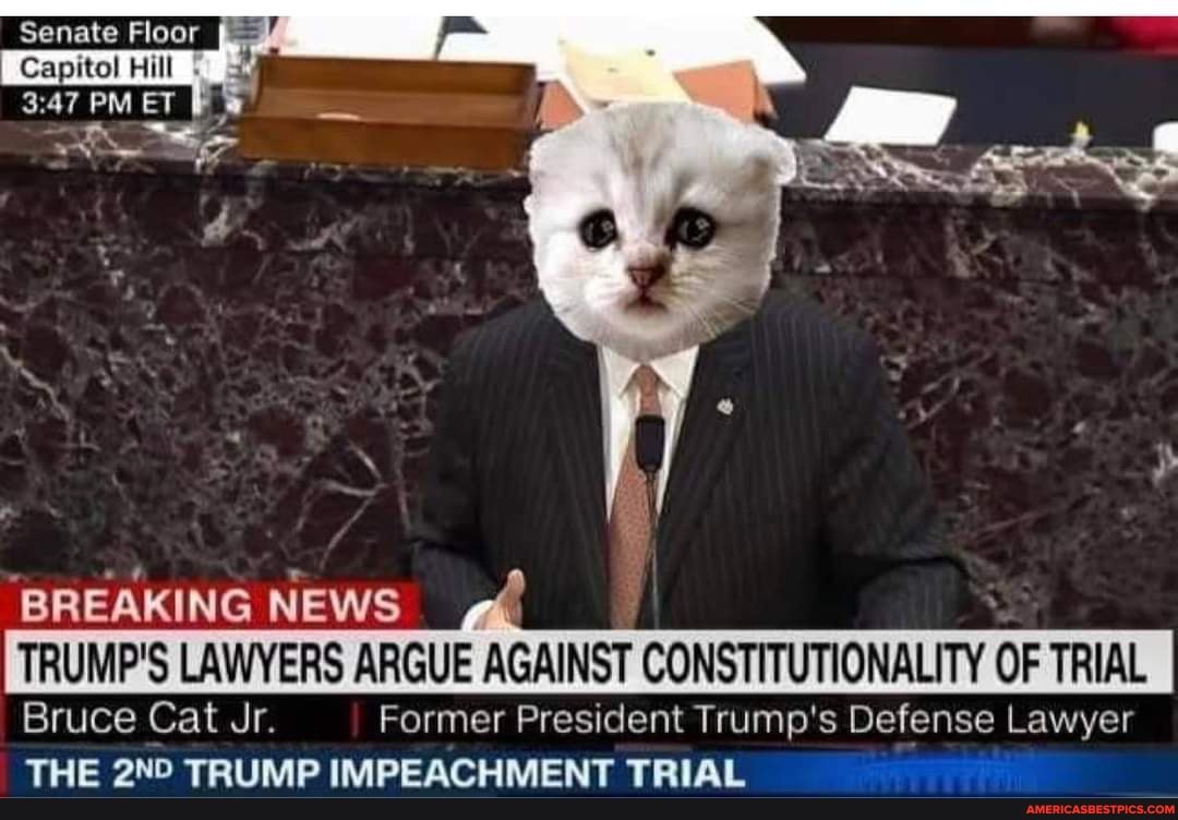 Senate Floor
Capitol Hill
PM ET
'BREAKING NEWS TRUMP'S LAWYERS ARGUE AGAINST CONSTITUTIONALITY OF TRIAL
Bruce Cat Jr. Former President Trump's Defense Lawyer
THE TRUMP IMPEACHMENT TRIAL