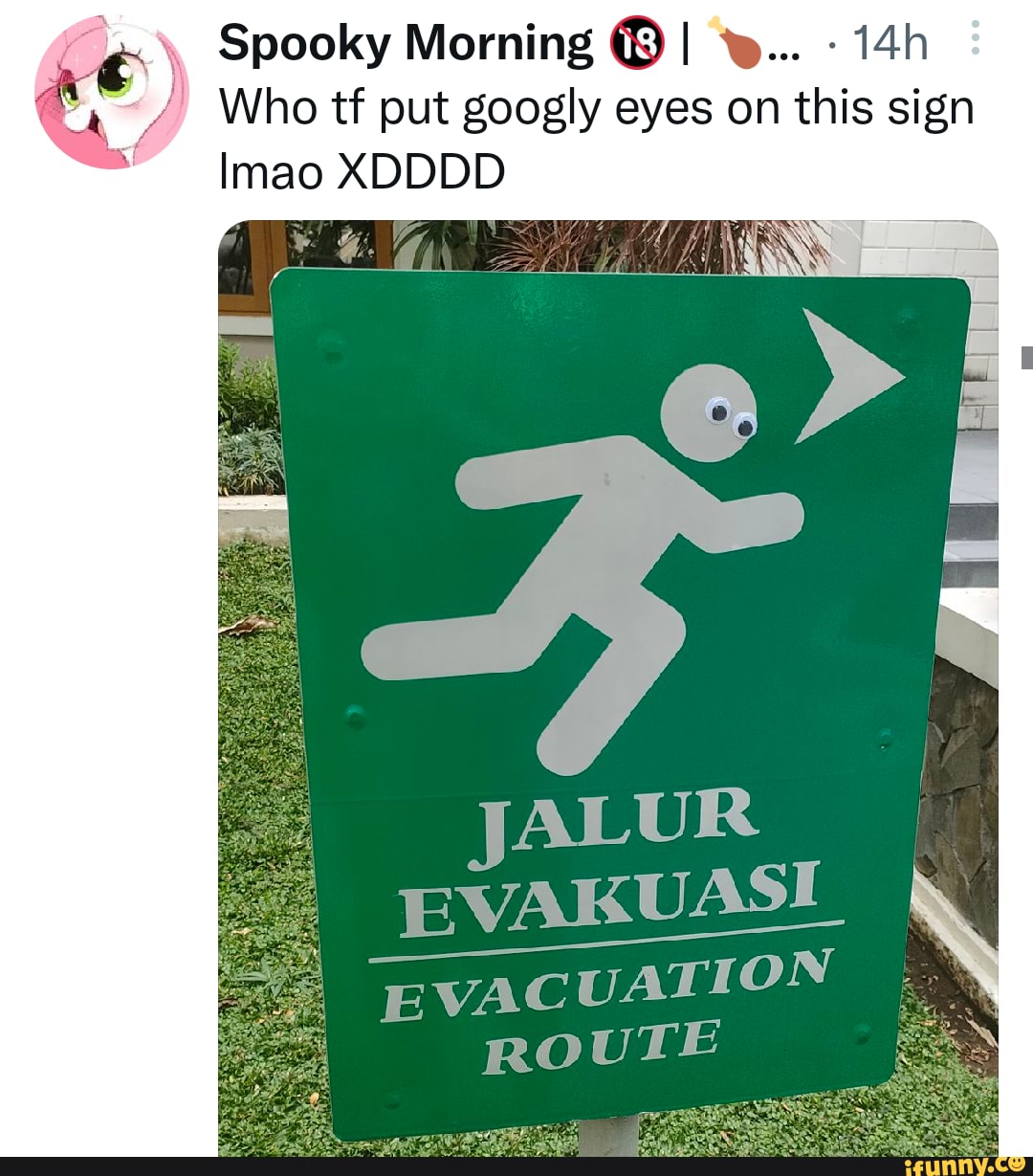 Spooky Morning I Who tf put googly eyes on this sign EVAKUASI ROUTE mao