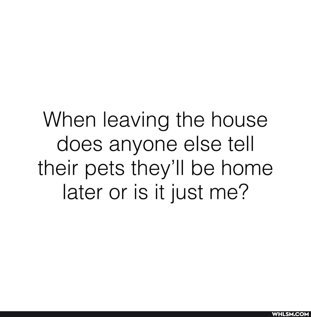 When leaving the house does anyone else tell their pets they'll be home later or is it just me?
