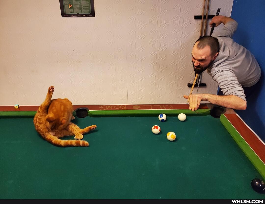 claude, thinking, licking, balls, important, game, pool
