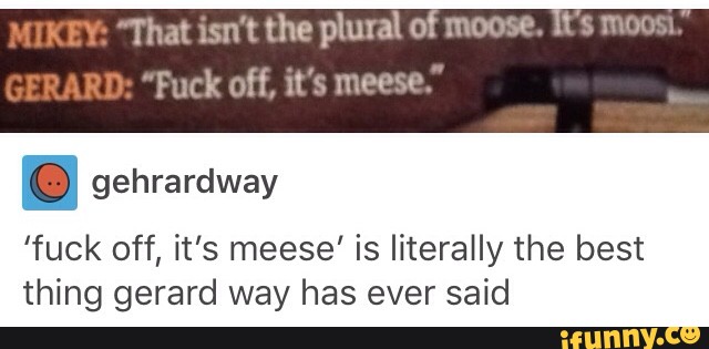 Hat Xsn T The Plural Of Mom Fuck Off It S Meese Is Iiterally