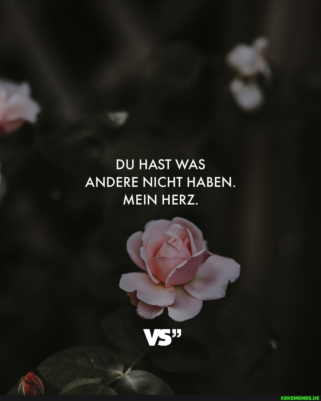 DU HAST WAS ANDERE NICHT HABEN.
MEIN HERZ.