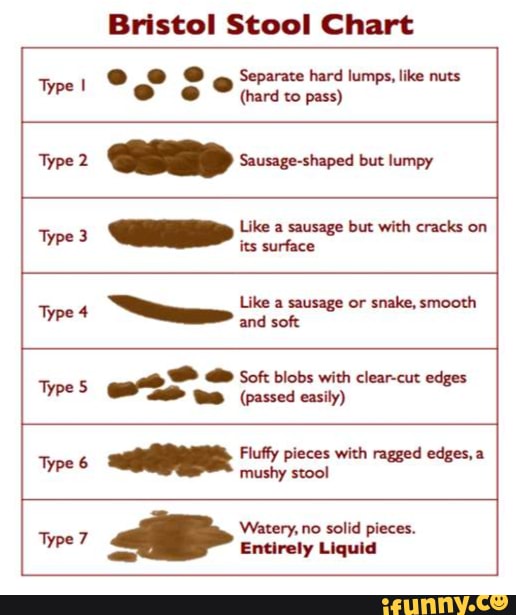 bristol-stool-chart-separate-hard-lumps-like-nuts-type-hard-to