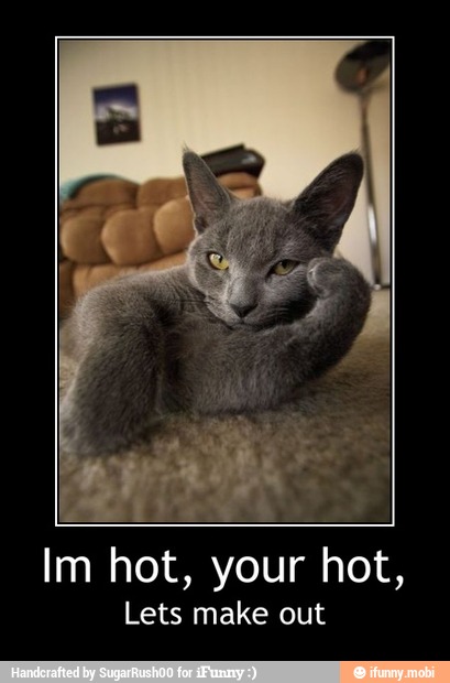 m
hot, your hot,
Lets make out - Im hot, your hot,
Lets make out