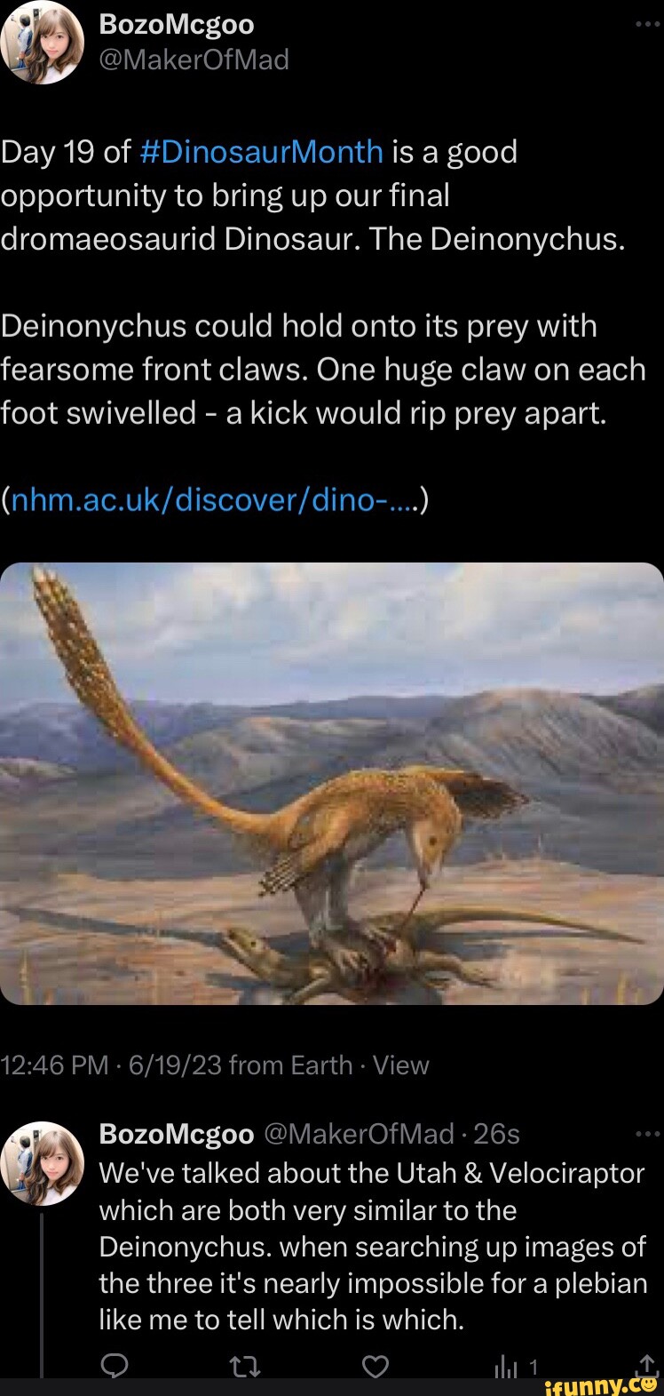 Deinonychus memes. Best Collection of funny Deinonychus pictures on iFunny