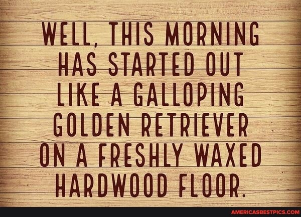 HAS STARTED OUT LIKE A GALLOPING GOLDEN RETRIEVER
WELL, THIS MORNING
ON A FRESHLY WAXED HARDWOOD FLOOR.