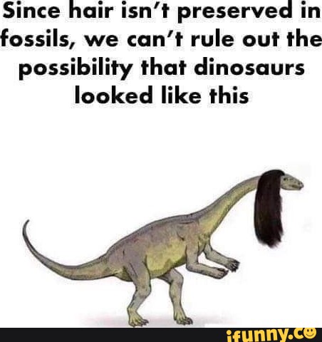 Since hair isn't preserved in fossils, we can't rule out the ...