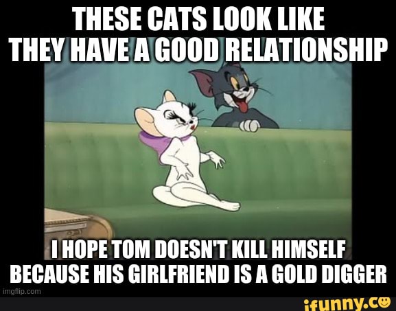 THESE CATS LOOK LIKE THEY
THOPE TOM DOESN'T KILL HIMSELF ECAUSE HIS G AGOLD DIGGER