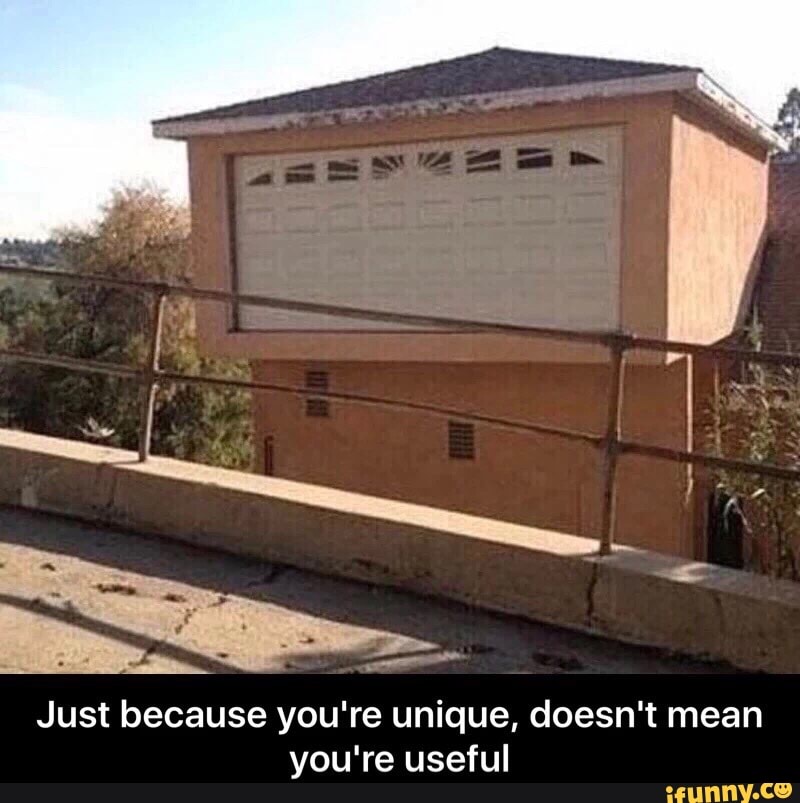 Just because you're unique, doesn't mean you're useful iFunny )