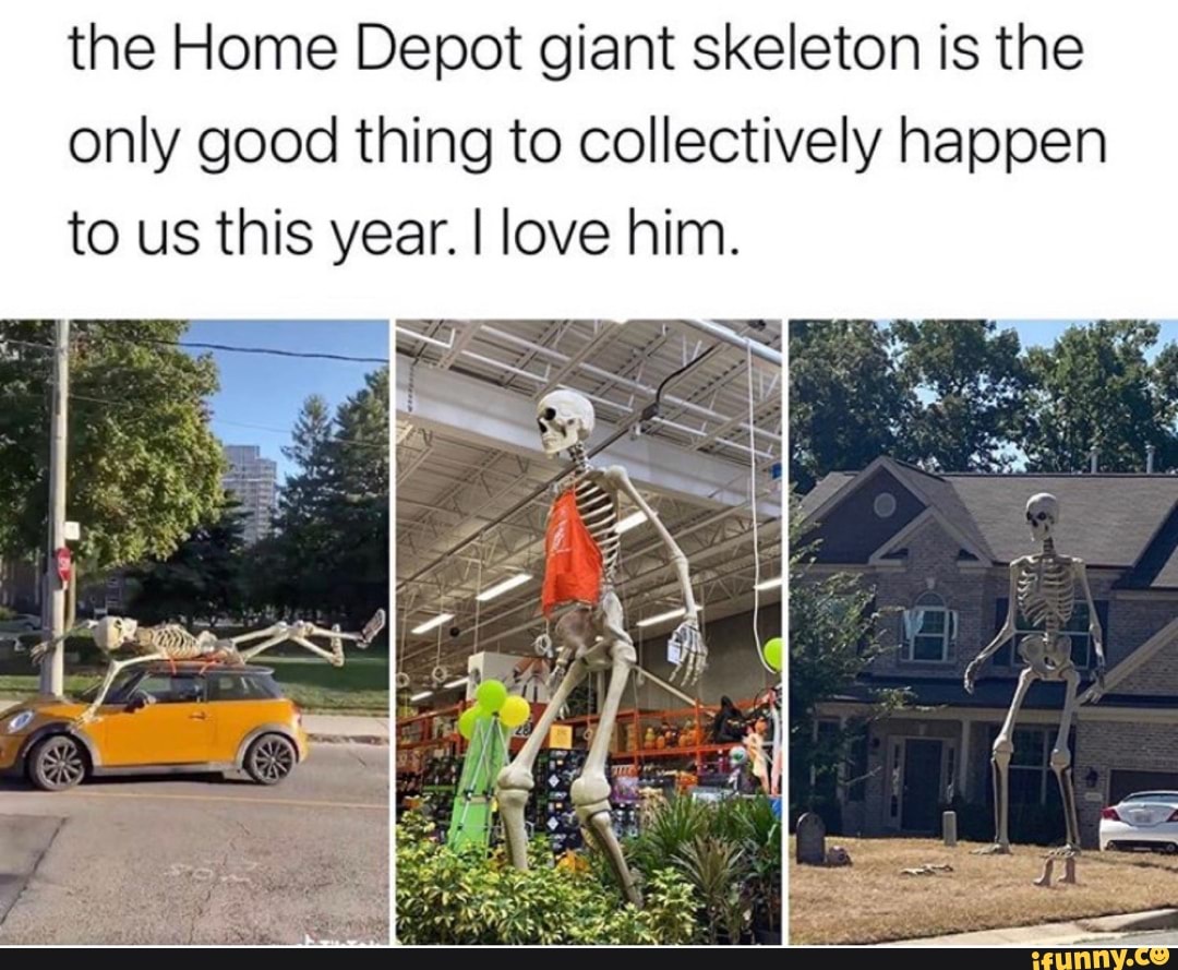 the Home Depot giant skeleton is the only good thing to collectively happen to us this year. I love him.