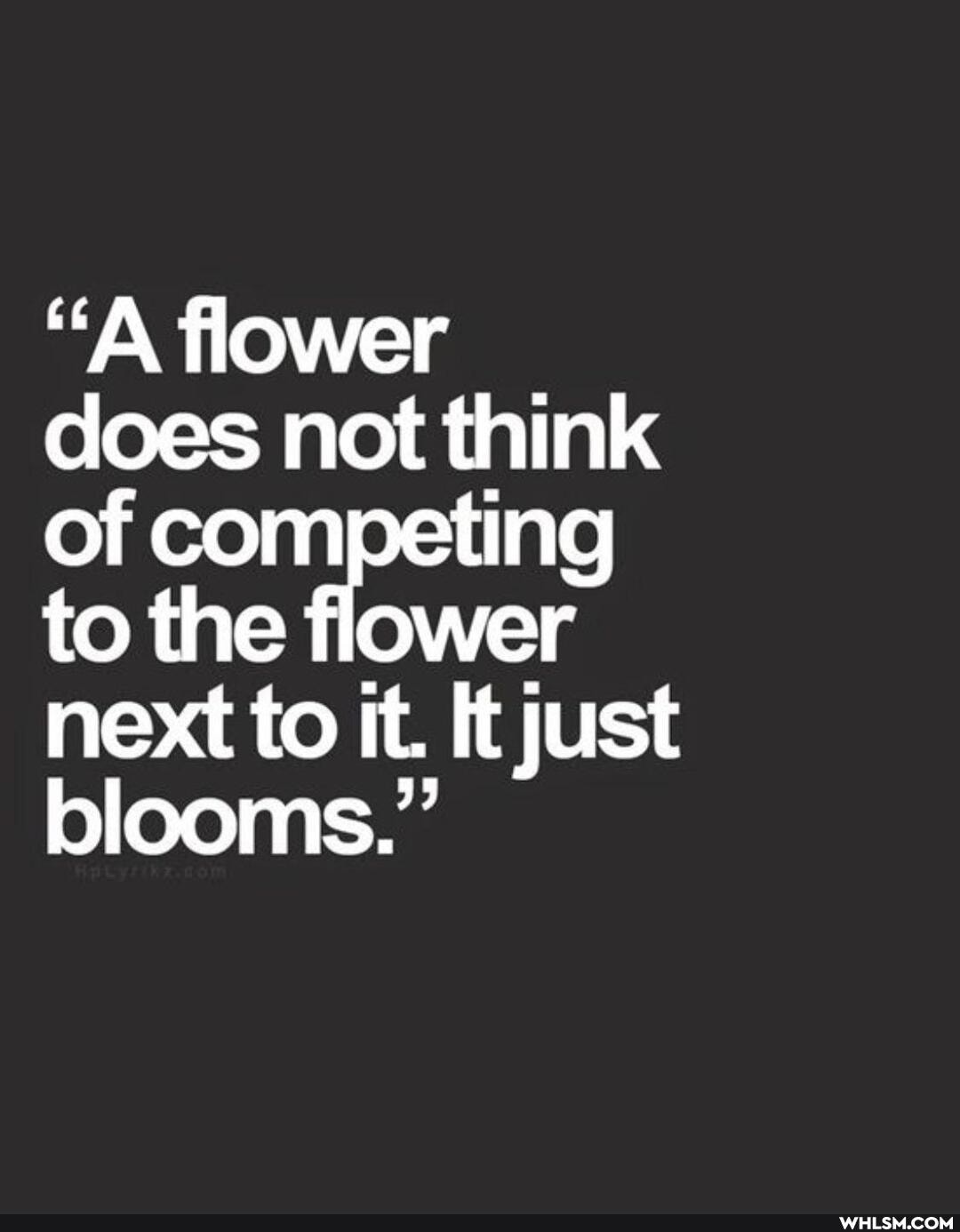 "A flower does not think of competing to the flower next to it. It just blooms."