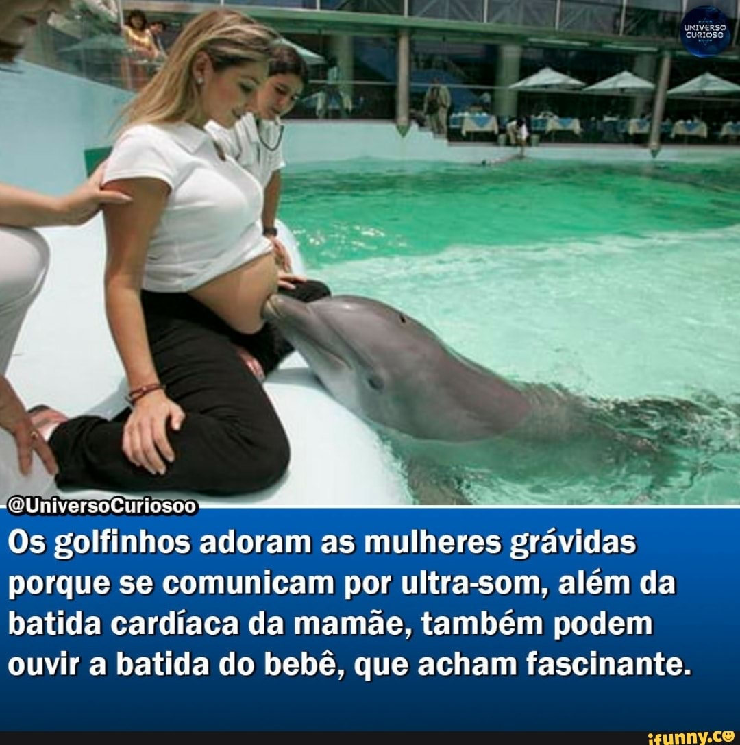 (QUniversoCuriosoo
Os golfinhos adoram as mulheres grávidas porque se comunicam por ultra-som, além da batida cardíaca da mamãe, também podem ouvir a batida do bebê, que acham fascinante.