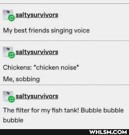 survivors
My best friends singing voice
altysurvivo'
Chickens: "chicken noise*
Me, sobbing
saltysurvivors
The filter for my fish tank! Bubble bubble bubble