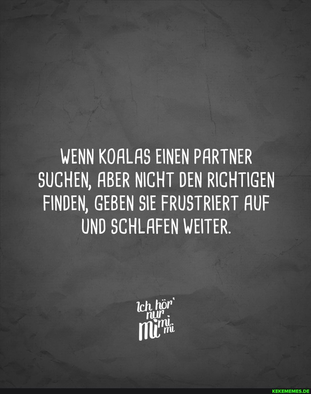 WENN KOALAS EINEN PARTNER SUCHEN, ABER NICHT DEN RICHTIGEN FINDEN, GEBEN SIE FRUSTRIERT AUF UND SCHLAFEN WEITER.