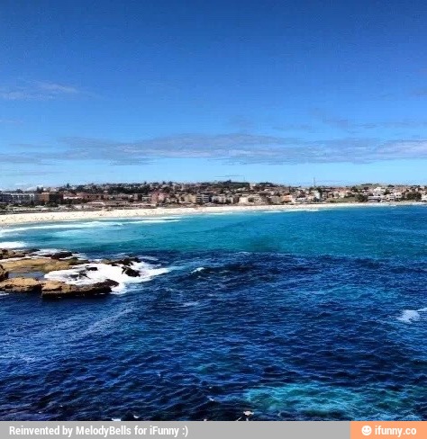bondi