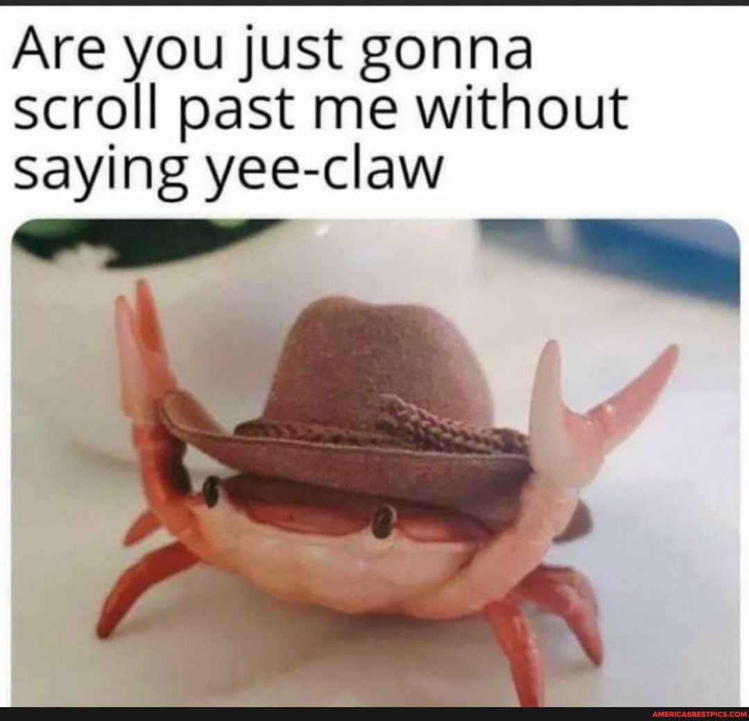 Are you just gonna scroll past me without saying yee-claw
