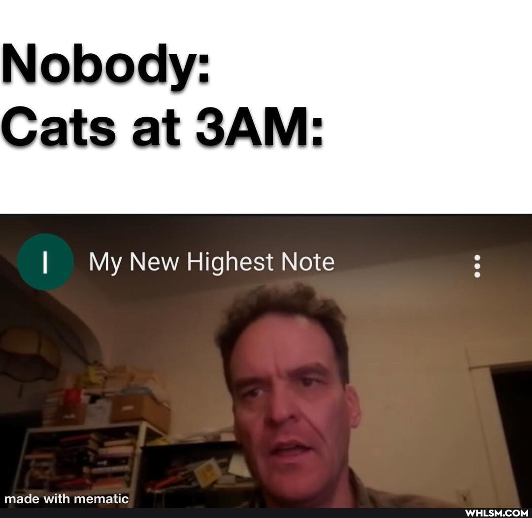Nobody:
Cats at
I My New Highest Note