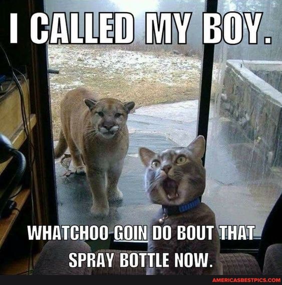 GALLED MY BOY.
WHATGHOO GOIN DO BOUT THAT SPRAY BOTTLE NOW.