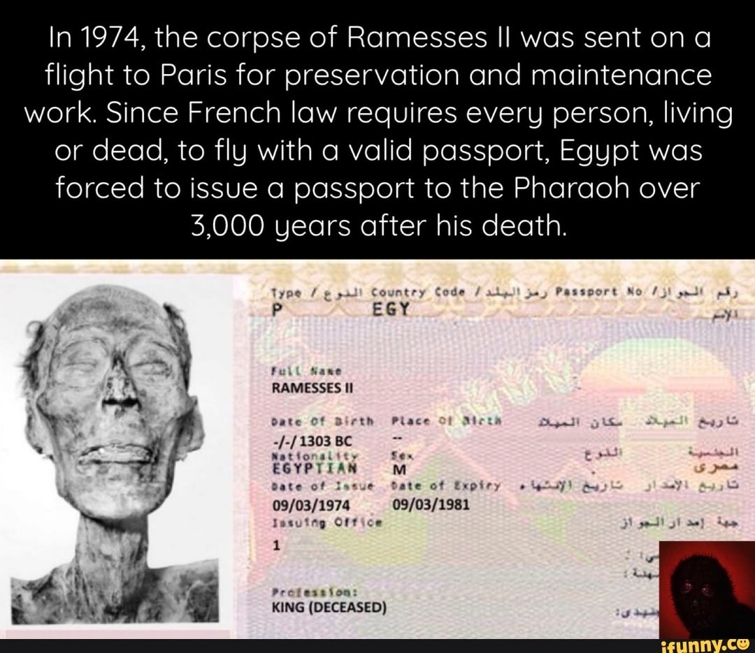 In 1974, the corpse of Ramesses Il was sent on a flight to Paris for ...