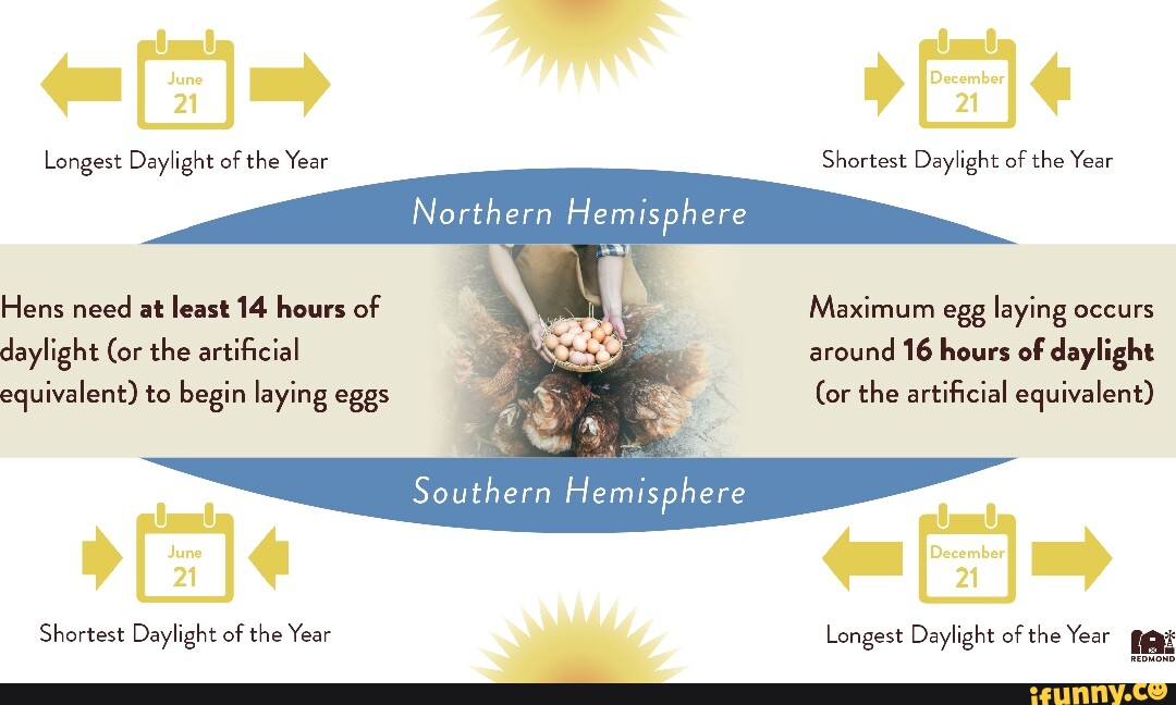 Longest daylight of the year shortest daylight of the year 21 northern